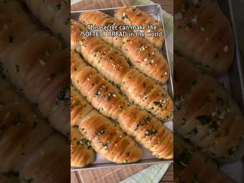 Softest Bread Dough Secret revealed. Make 100s of breads with one recipe.