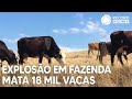 Explosão em Fazenda Leiteira no Texas