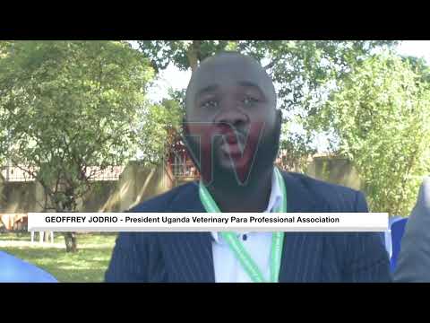 YouTube video thumbnail: Veterinarians Want Animal Welfare to be Part of Disaster Response