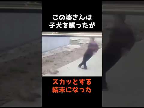 【㊗️100万再生🎉子犬を蹴った80歳の婆さんの末路】 #shorts #事件 #動物