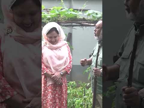 বিমান বাহিনীর উর্ধ্বতন কর্মকর্তার বাসভবনে আধুনিক ছাদকৃষি #shorts