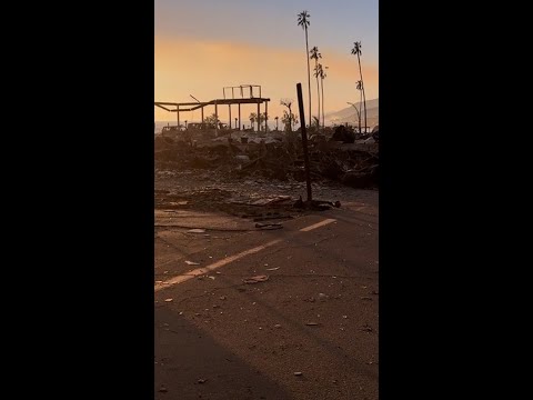 LA wildfire victims return to neighborhoods burnt to ash #Shorts