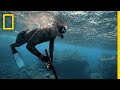 Spear Fishing and Fish Taste