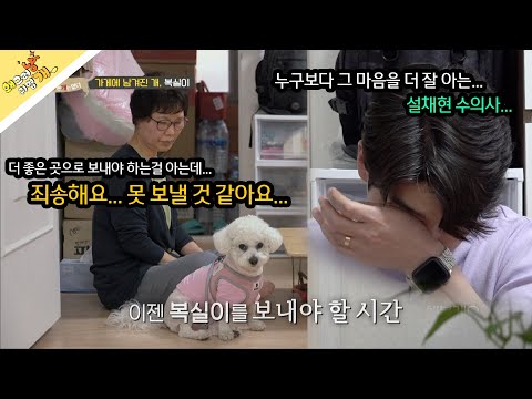 방치된 동안 복실이를 보살펴 준 고마운 분...  "죄송해요 입양 못 보낼 것 같아요..."