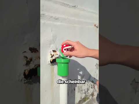 Die Nützlichste Street Art Der Welt