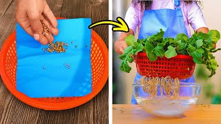 Effective gardening tips to grow own food 🌱