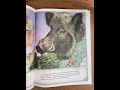 Beauty and the Beast Comprehension