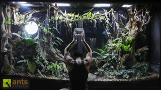 Adding an Invasive Species into My Rainforest Ecosystem Vivarium
