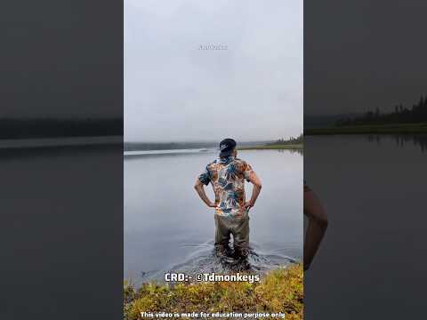 He Does Stunts In Swamp 😨!!!