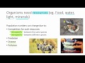 Adaptations and Competition in Ecology
