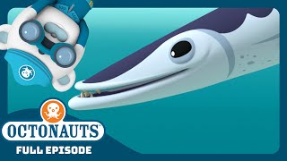 @Octonauts - ✨ The Barracudas 🐟 | Season 3 | Full Episode | Cartoons for Kids