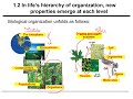 Biological Hierarchy and Cell Structure