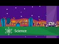 Exploring the Structure and Function of the Cell Membrane