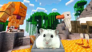 Hamster in Roller Coaster EPIC ITALIAN BRAINROT in Minecraft Maze 😲