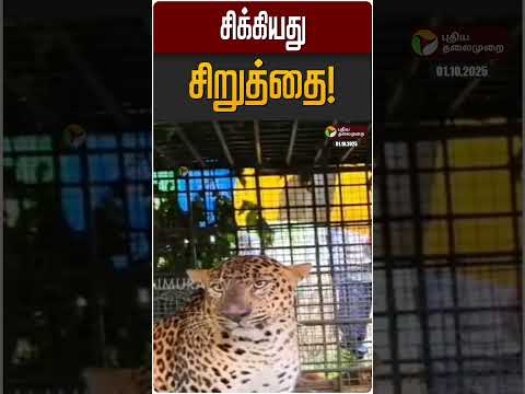 சிக்கியது சிறுத்தை! | Cheetah | Coodalur