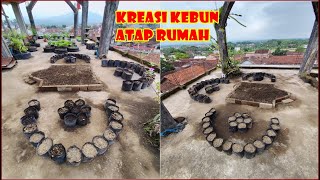 TIPS MENANAM KANGKUNG DI POLIBAG TANAMAN DI JAMIN SUBUR MAKMUR HEMAT TEMPAT