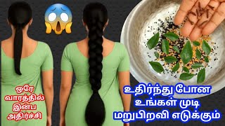 🔥உங்களின் தலைமுடி வளர்ச்சியை அதிகரிக்க இதை தலைக்கு தேய்க / Grow your hair faster with clove water 