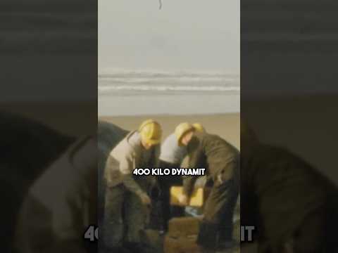 Verkehrsministerium vs 8 Tonnen Wal