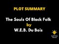 Dubois and Civil Rights Contributions