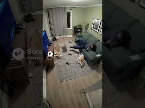 This Jump Scare Broke My Pets’ Souls 😂