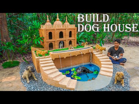 Rescuing Abandoned Puppies: Building a Mud House and Turtle Pond