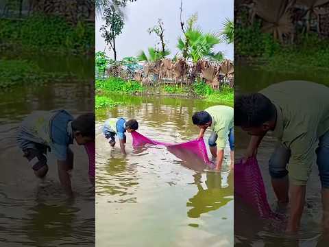 #shorts #viral #trending #funny #comedy #cartoon #viralvideo #video #viralshorts #shortvideo