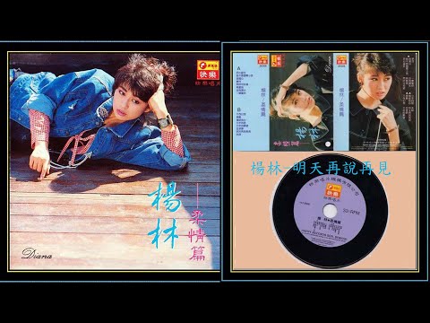 明天再說再見 /楊林