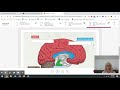 Understanding Brain Functions and Activities