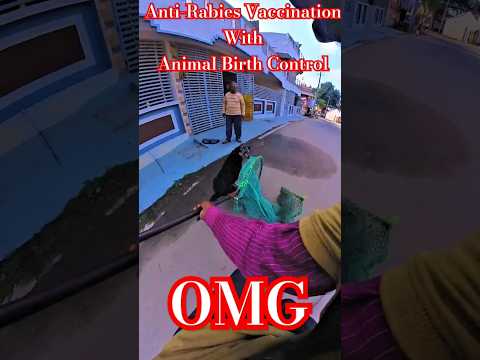Chennai Express Amazing Dog Catch 🛟 #streetdogplanet44 #shorts #ytshortsindia #ytviral #dog #animals