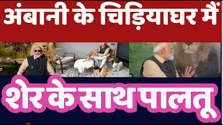 Why MODI Visit "Vantara " Ambani Son Zoo ,Not A-recognised By Ministry
