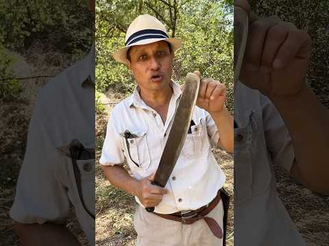 Cómo sacarle filo al machete #campo