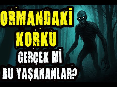Ormandaki Korku: Gerçek Mi Bu Yaşananlar?
