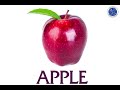 Language and Color Comprehension