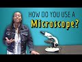 Using a Light Microscope: A Step-by-Step Guide