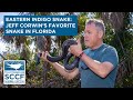 Eastern Indigo Snake Conservation Issues