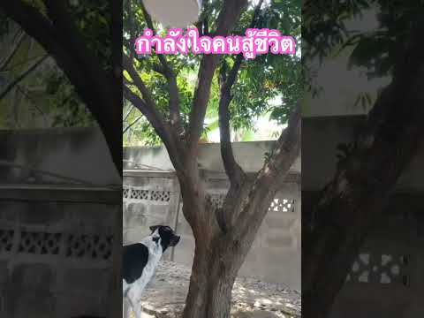 27มกราคม2568 ตามกระแสสังคม 27มกราคม2568