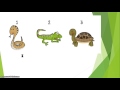 Dichotomous Keys and Organism Classification