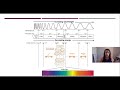 Electromagnetic Spectrum and Light Theory