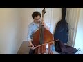 Understanding the Double Bass