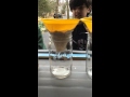 Soil Permeability and Water Absorption