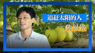 将新疆哈密瓜种到海南？南繁育种人陈冠铭扎根田间地头数十年  推动转型“甜”农心！[人物·故事] | 开讲啦 The Voice