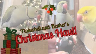 Tinkerbell and Beaker’s Christmas haul!