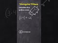 Calculating Areas and Perimeters of Prisms