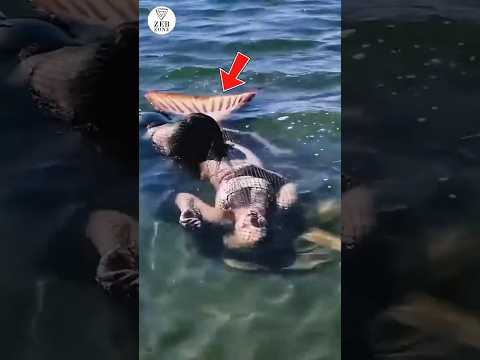 നിങ്ങൾ ഇത് കണ്ടോ 😱