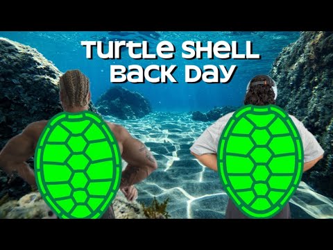 Sea Turtle Back Day