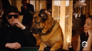 Hudson & Rex | Poker Face | Season 4