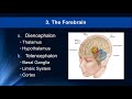 Neuroscience Concepts and Functions