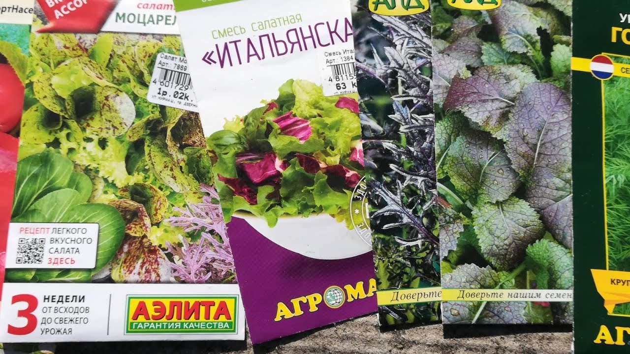 Дыра в земле -3 и что буду сеять в теплице. Измерил глубину дыры.