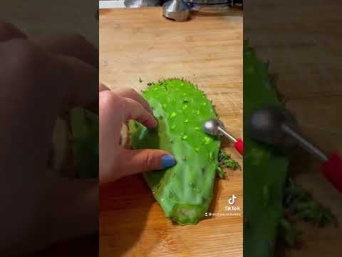 La mejor herramienta para pelar nopales muy rapido