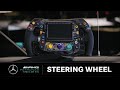 Steering Wheel Functions in Racing